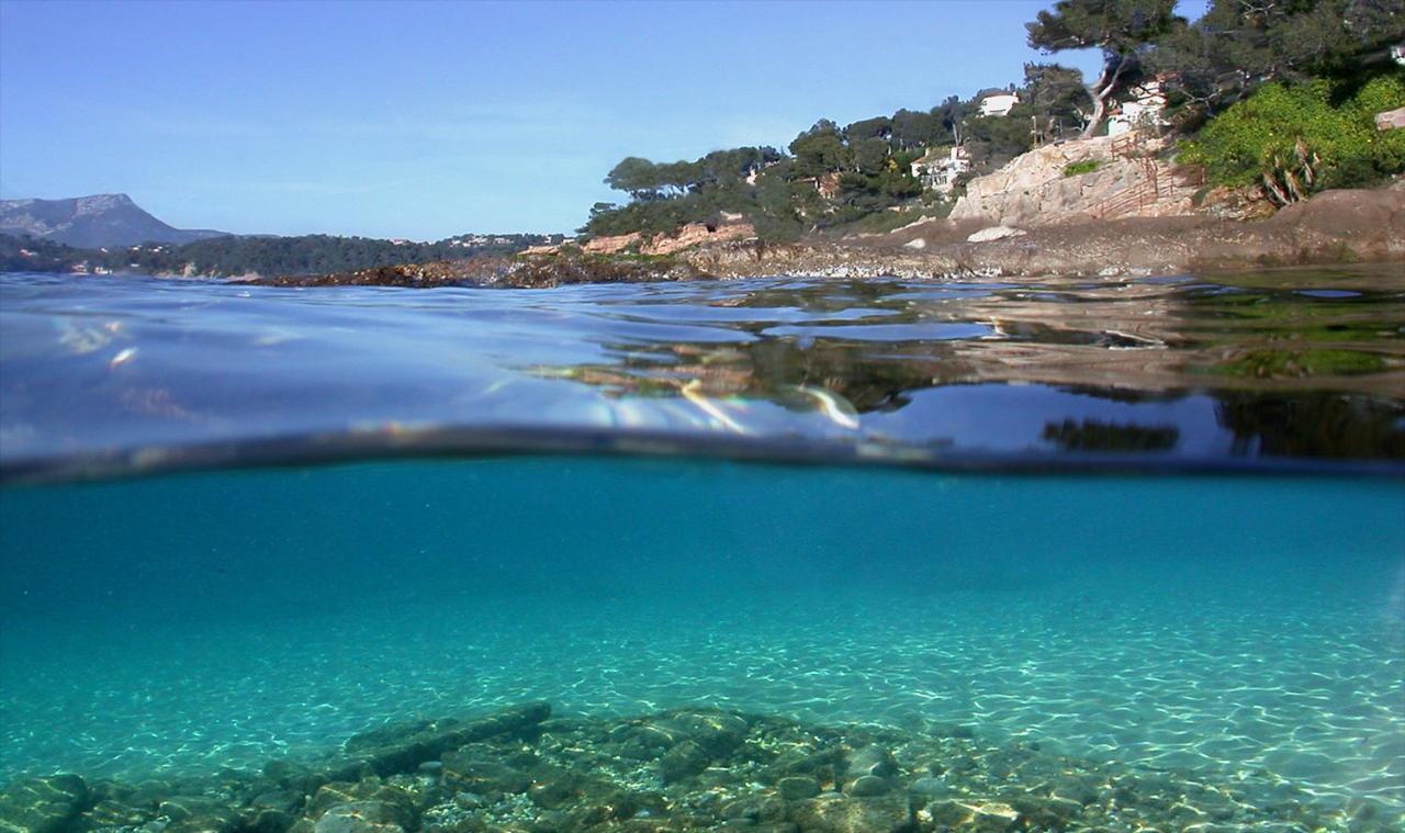 Magnifique petit cocon bord de mer- Lesclesdenicole Le Pradet Extérieur photo