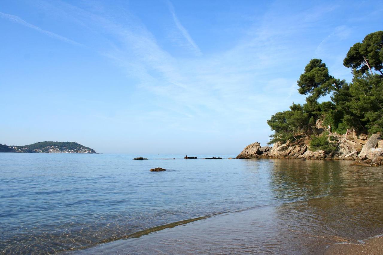 Magnifique petit cocon bord de mer- Lesclesdenicole Le Pradet Extérieur photo